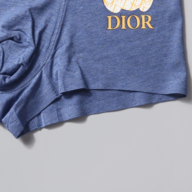 Unique Christian Dior Underwear 276483