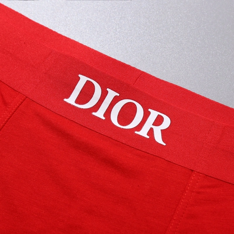Christian Dior Underwear TopPick 276458