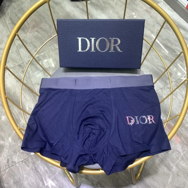 Christian Dior Underwear Vibrant 276474