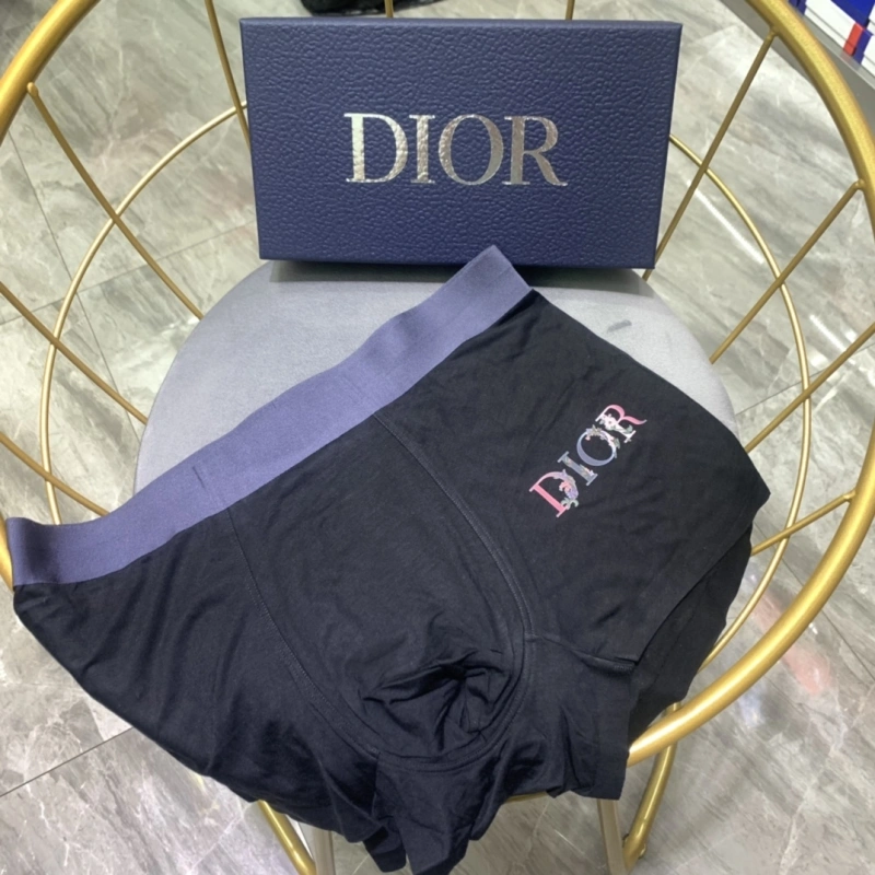 Christian Dior Underwear Vibrant 276474
