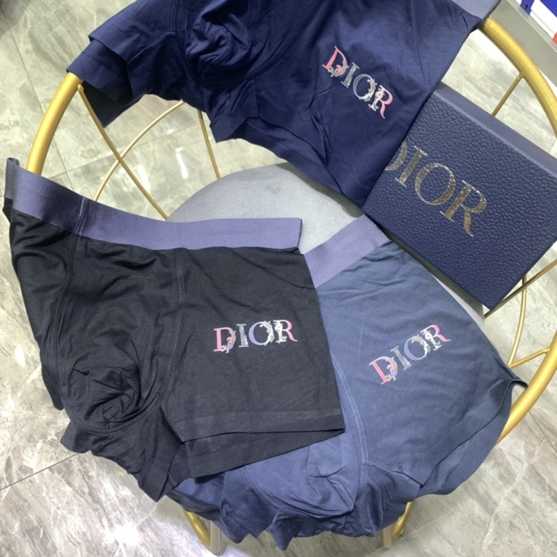 Christian Dior Underwear Vibrant 276474