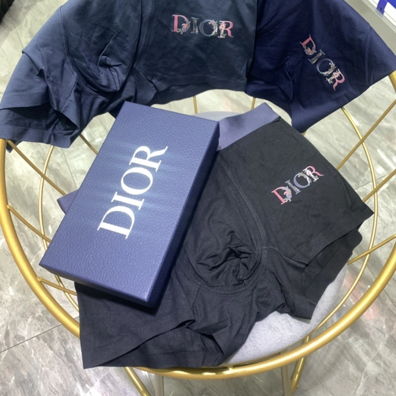 Christian Dior Underwear Vibrant 276474