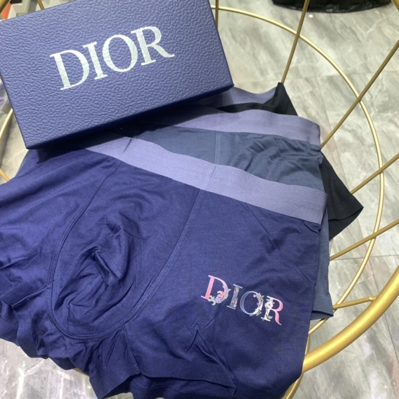 Christian Dior Underwear Vibrant 276474