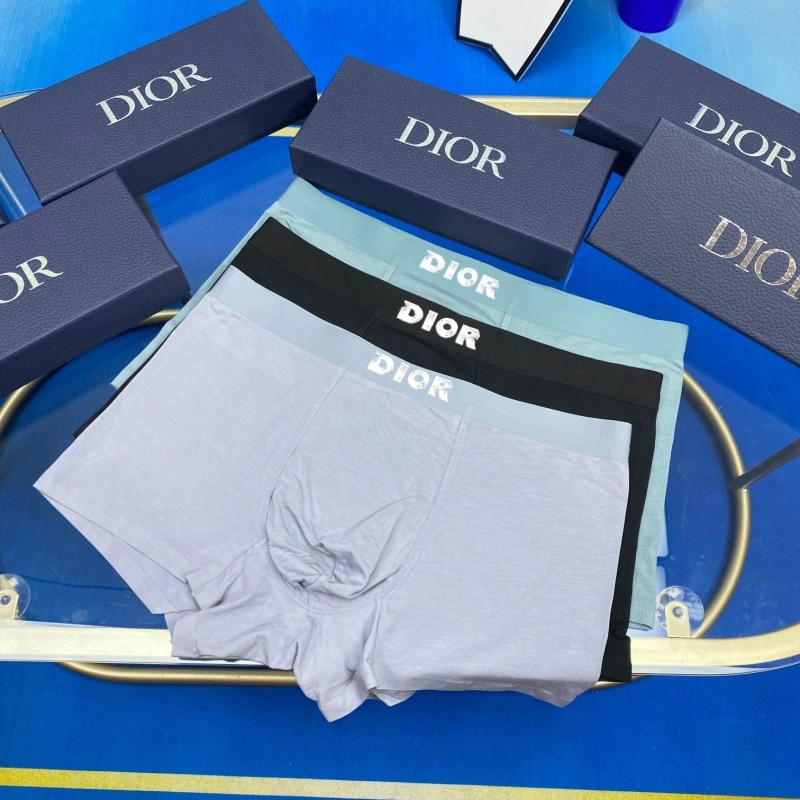 Christian Dior Underwear HighPerformance 276476