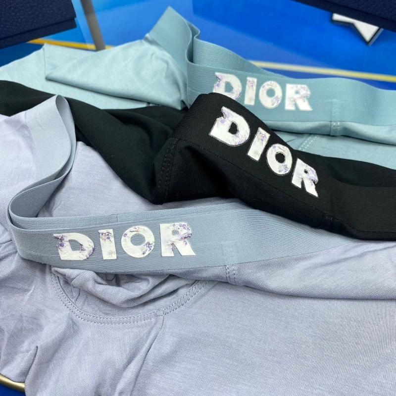 Christian Dior Underwear HighPerformance 276476