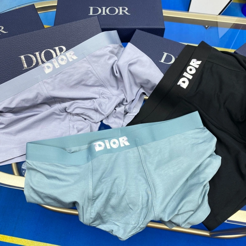 Christian Dior Underwear HighPerformance 276476