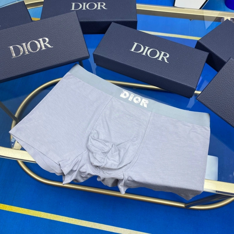 Christian Dior Underwear HighPerformance 276476