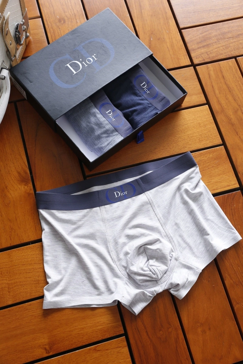 Attractive Christian Dior Underwear 276456