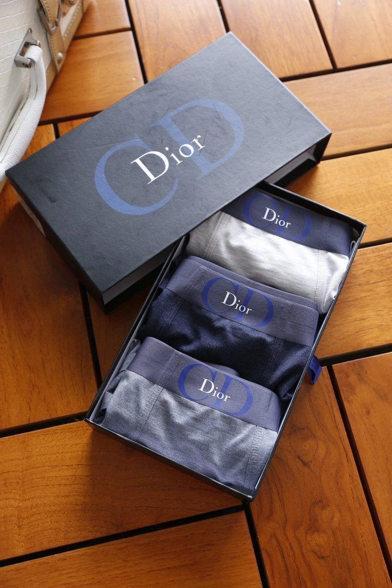 Attractive Christian Dior Underwear 276456