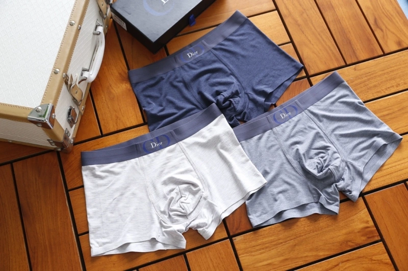 Attractive Christian Dior Underwear 276456