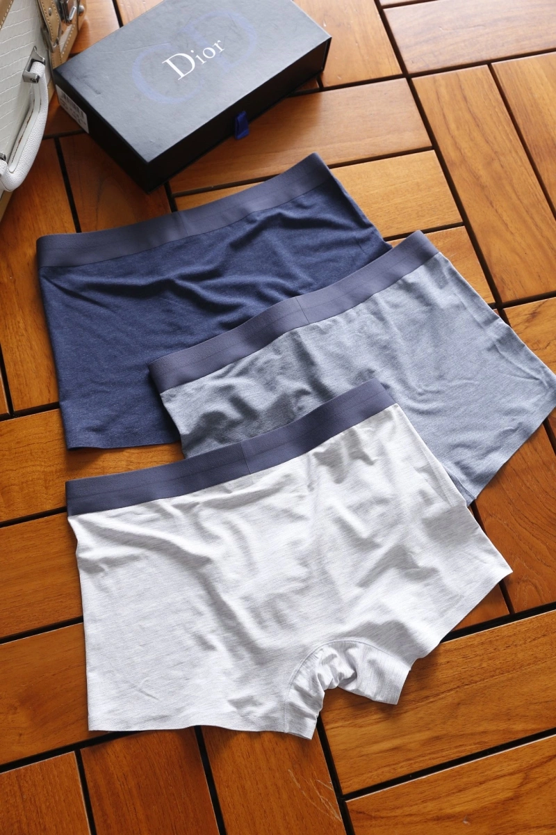 Attractive Christian Dior Underwear 276456
