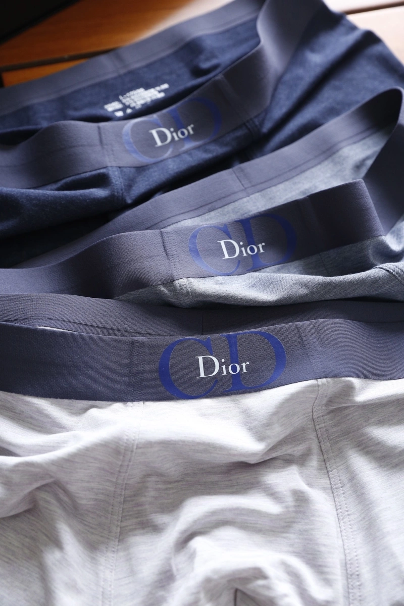 Attractive Christian Dior Underwear 276456