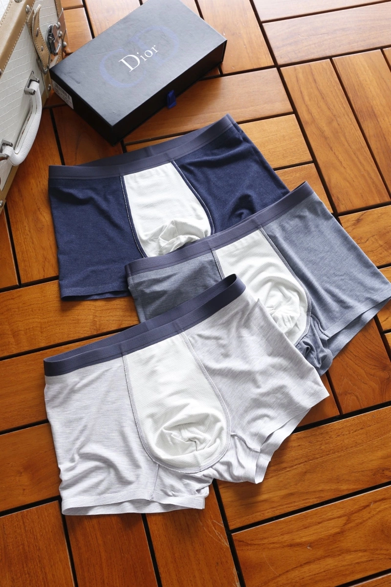 Attractive Christian Dior Underwear 276456