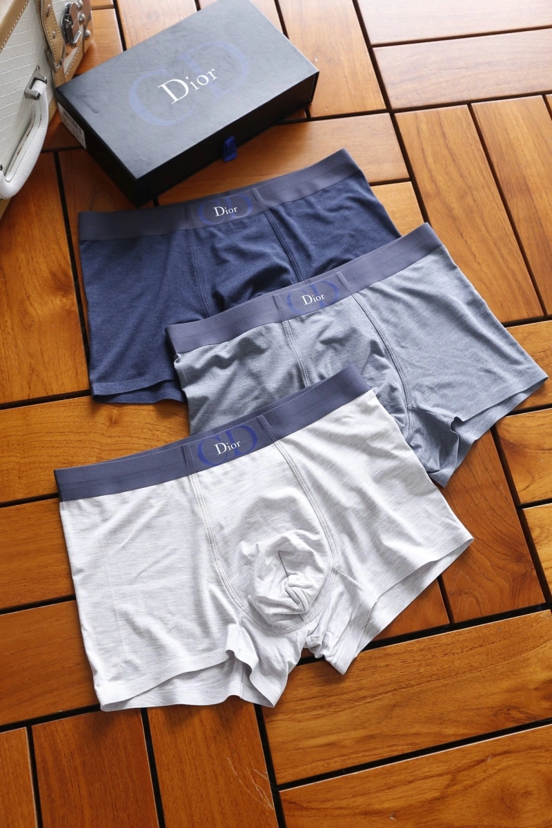 Attractive Christian Dior Underwear 276456