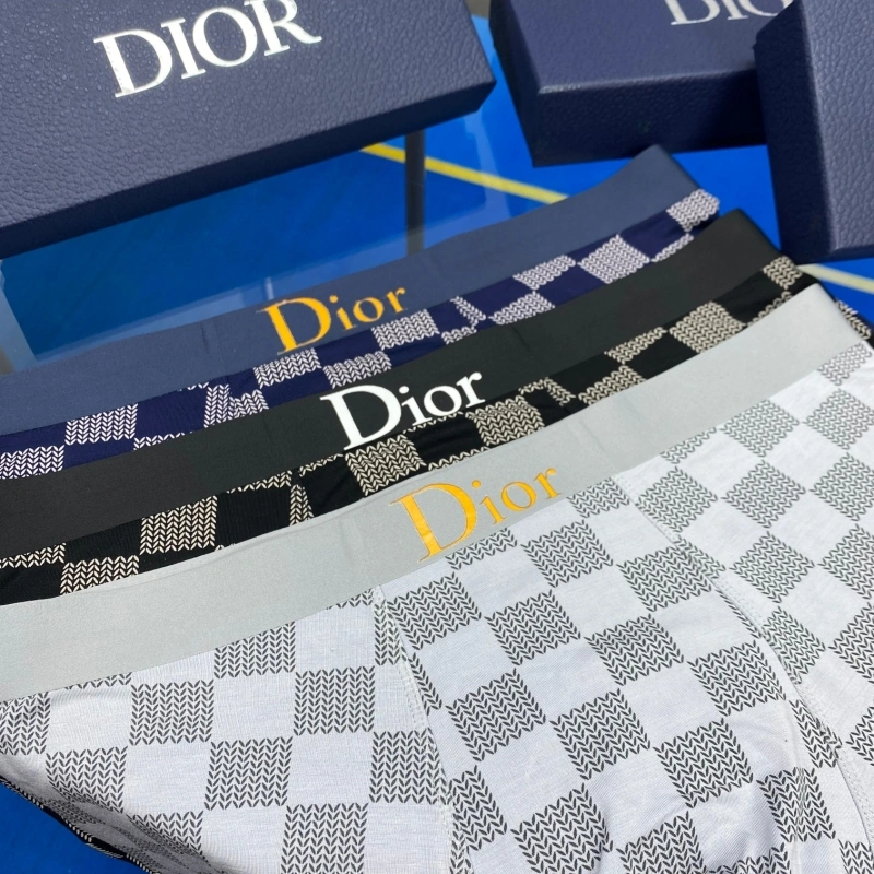 Christian Dior Underwear WrinkleFree 276448