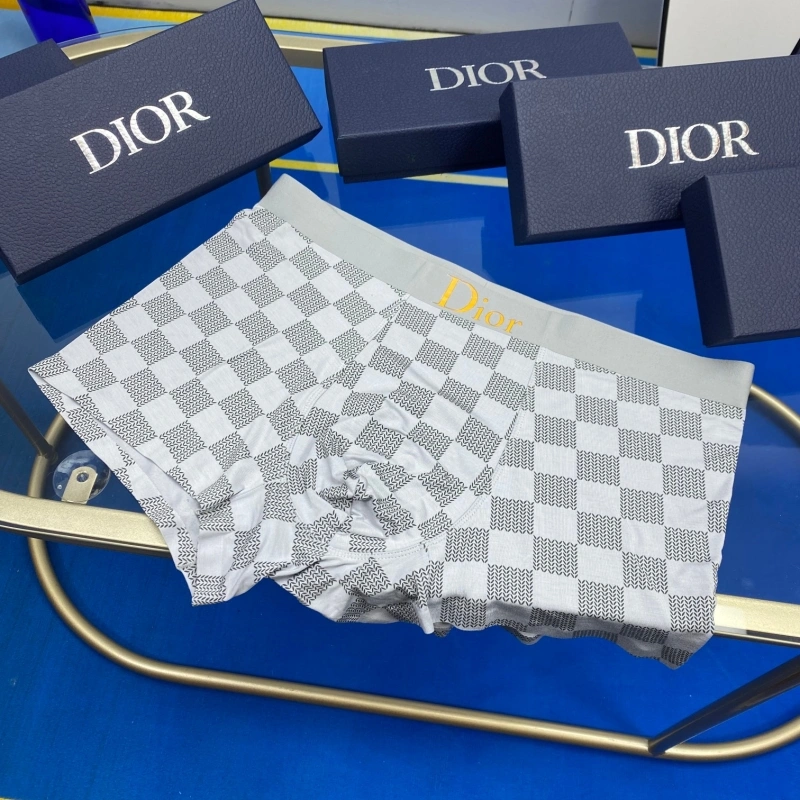 Christian Dior Underwear WrinkleFree 276448