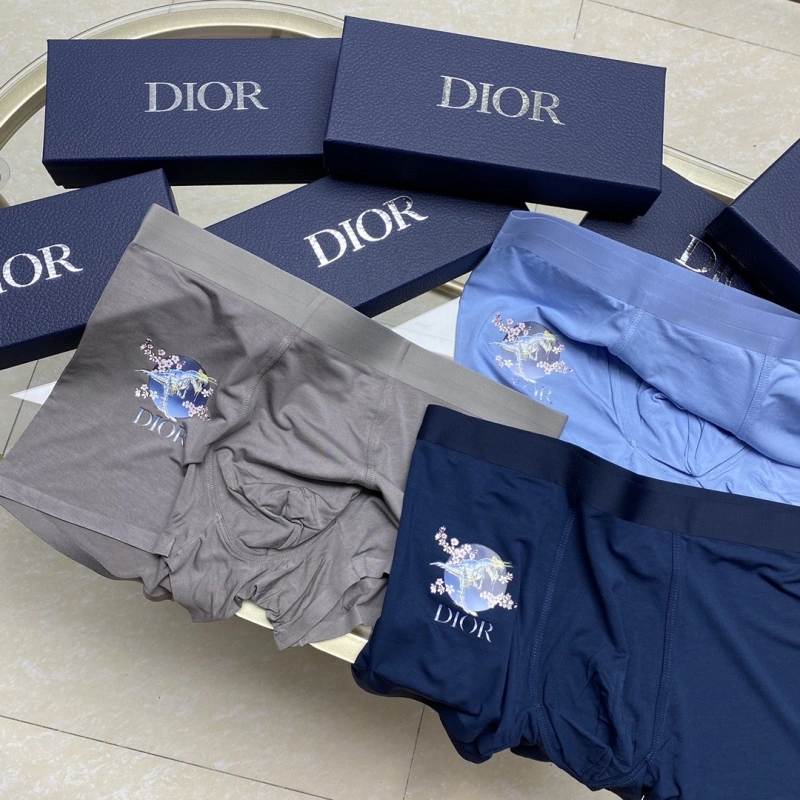 Packable Christian Dior Underwear 276445