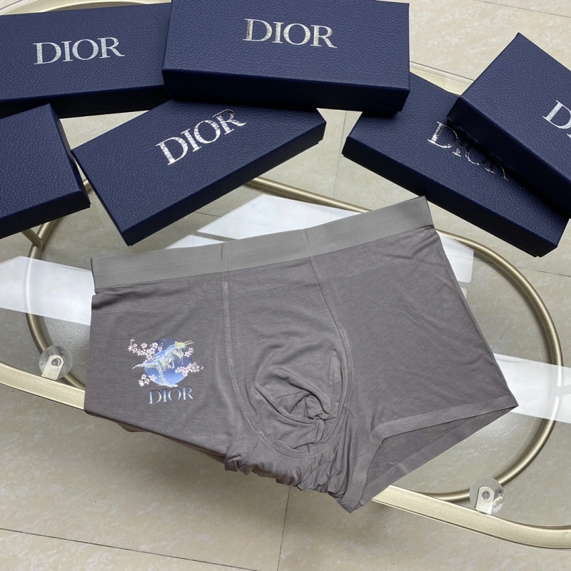 Packable Christian Dior Underwear 276445