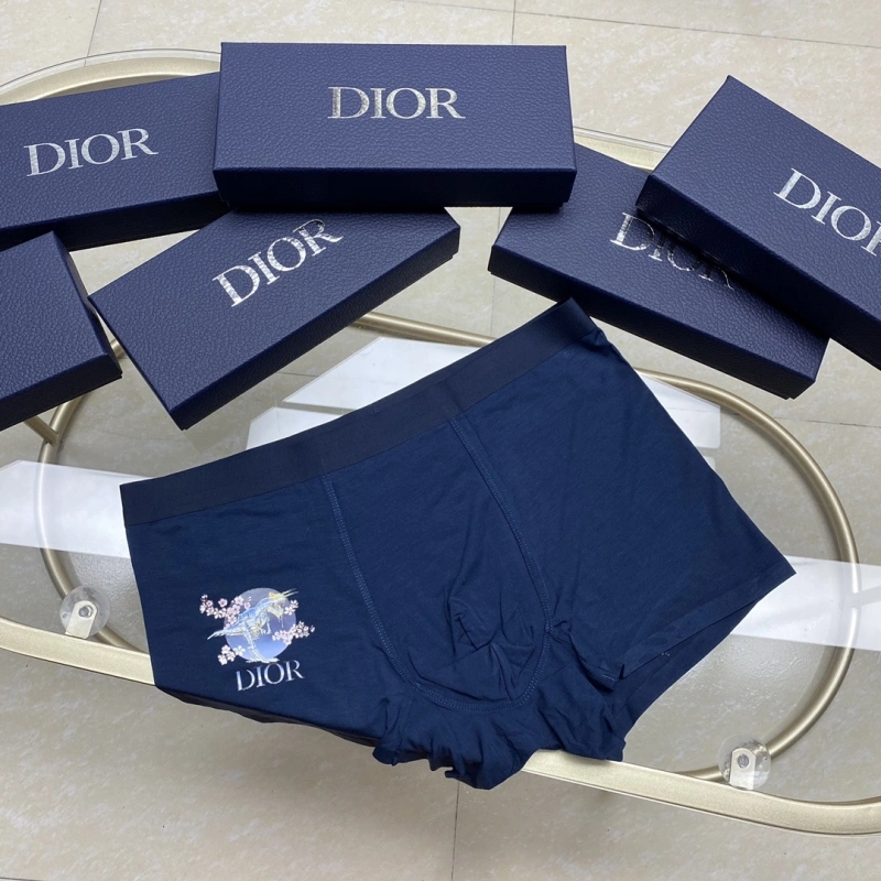 Packable Christian Dior Underwear 276445