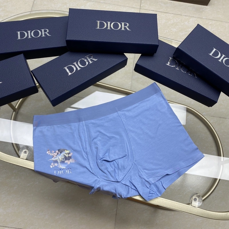 Packable Christian Dior Underwear 276445