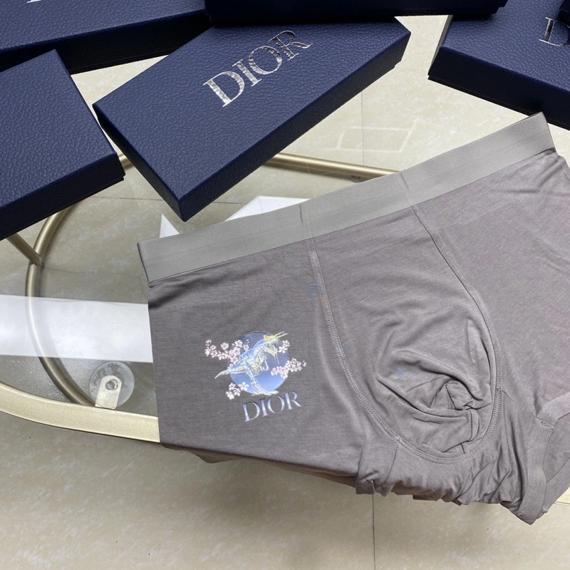 Packable Christian Dior Underwear 276445