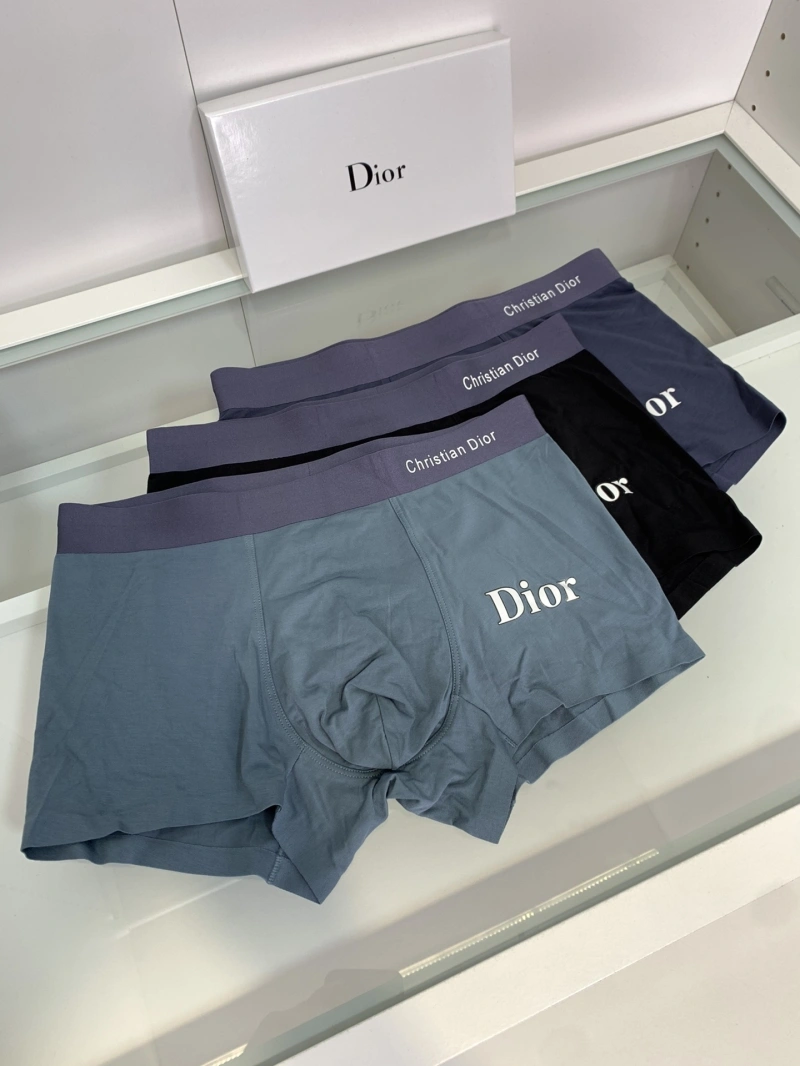 Christian Dior Underwear Tailored 276433