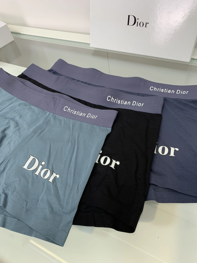 Christian Dior Underwear Tailored 276433