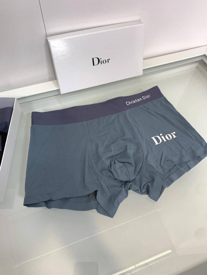 Christian Dior Underwear Tailored 276433
