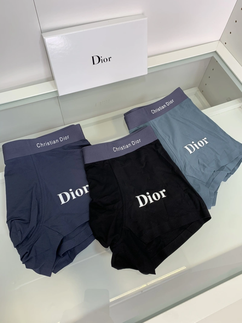 Christian Dior Underwear Tailored 276433