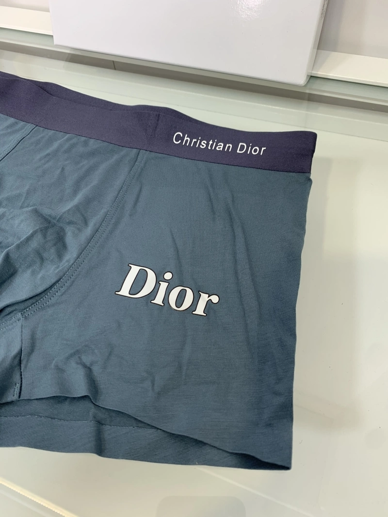 Christian Dior Underwear Tailored 276433