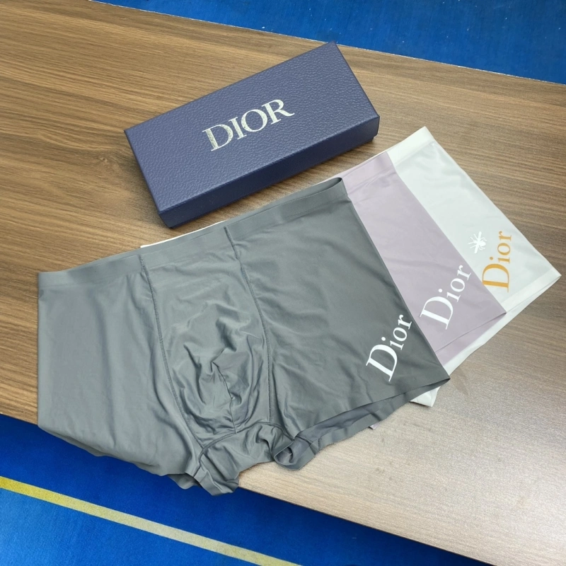 Youthful Christian Dior Underwear 276426