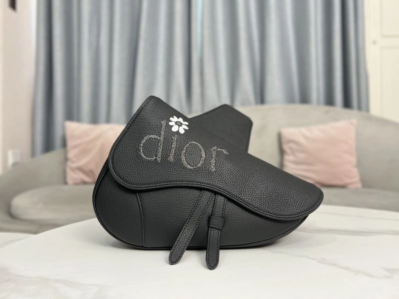 Snug Christian Dior Waist Chest Packs 76155