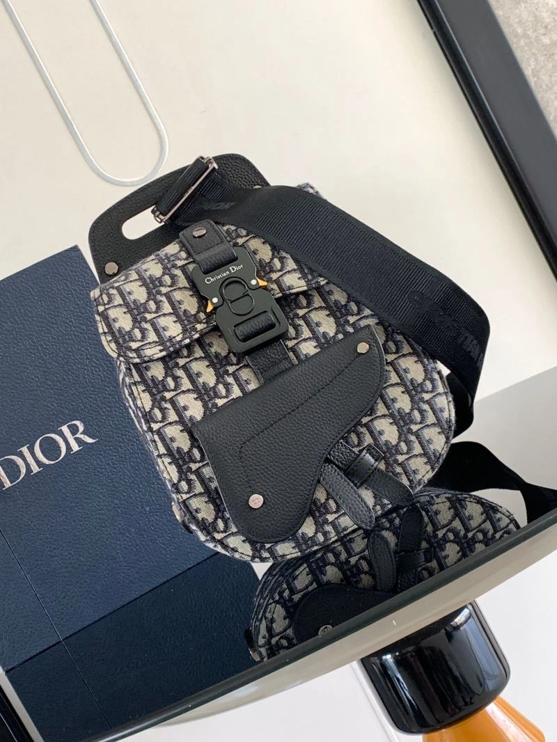 Modern Christian Dior Waist Chest Packs 66586