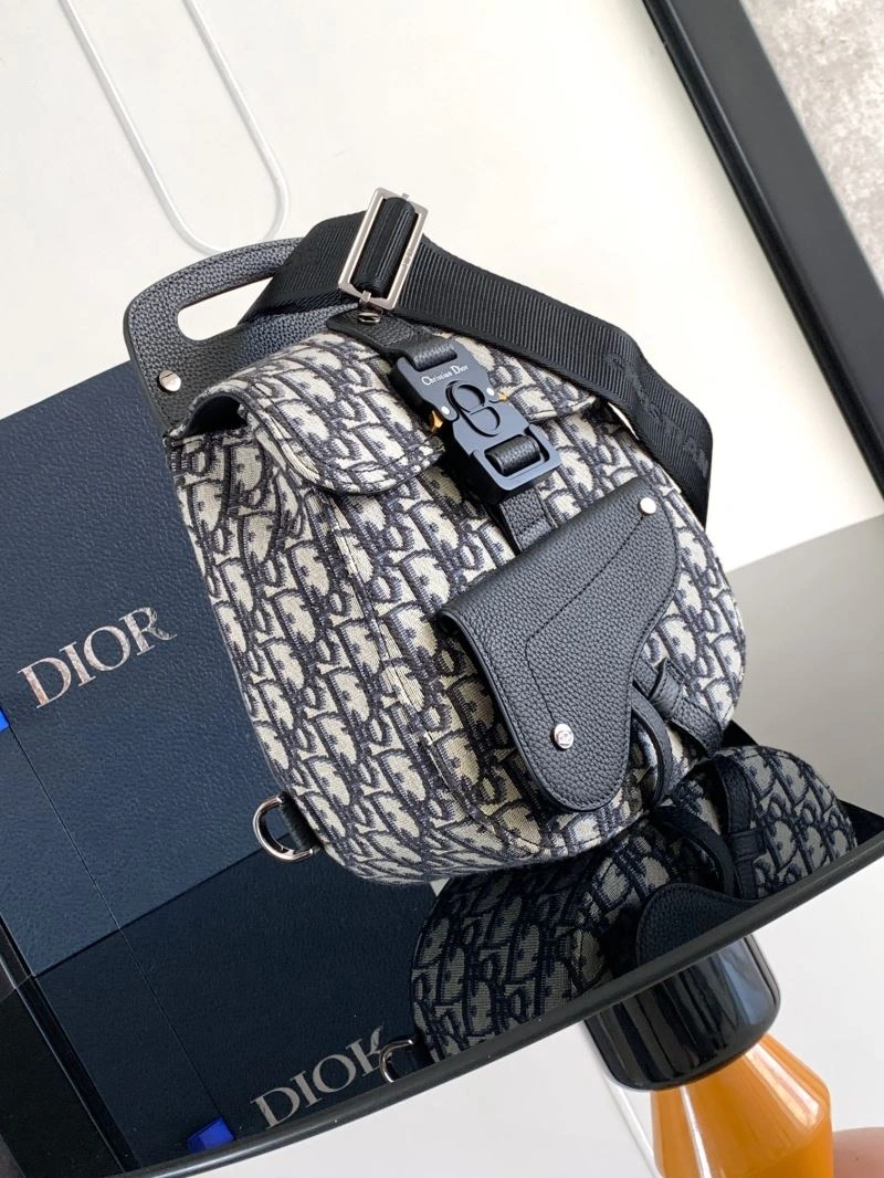 Modern Christian Dior Waist Chest Packs 66586