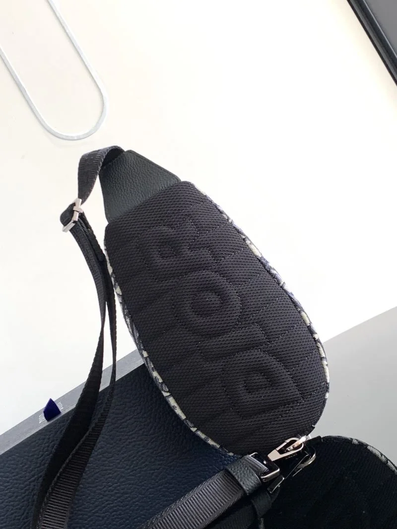 Youthful Christian Dior Waist Chest Packs 46739