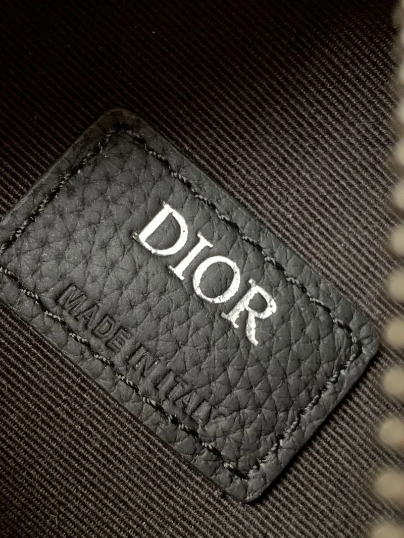 Youthful Christian Dior Waist Chest Packs 46739