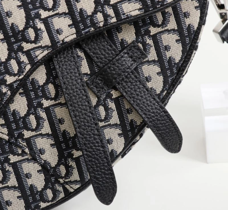 Christian Dior Waist Chest Packs Affordable 76875