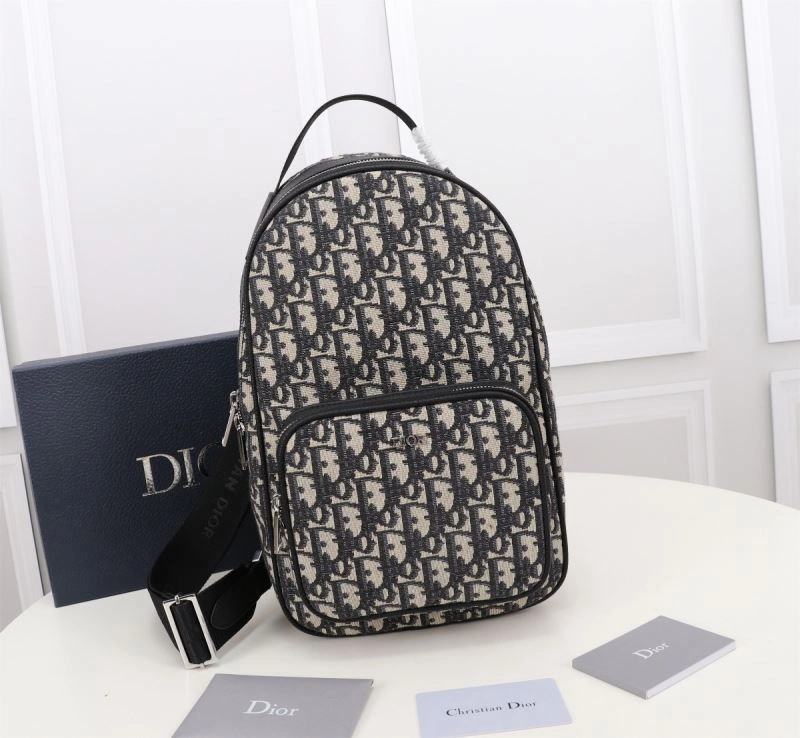 WaterResistant Christian Dior Waist Chest Packs 74238