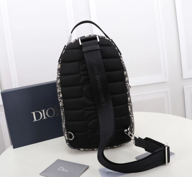 WaterResistant Christian Dior Waist Chest Packs 74238
