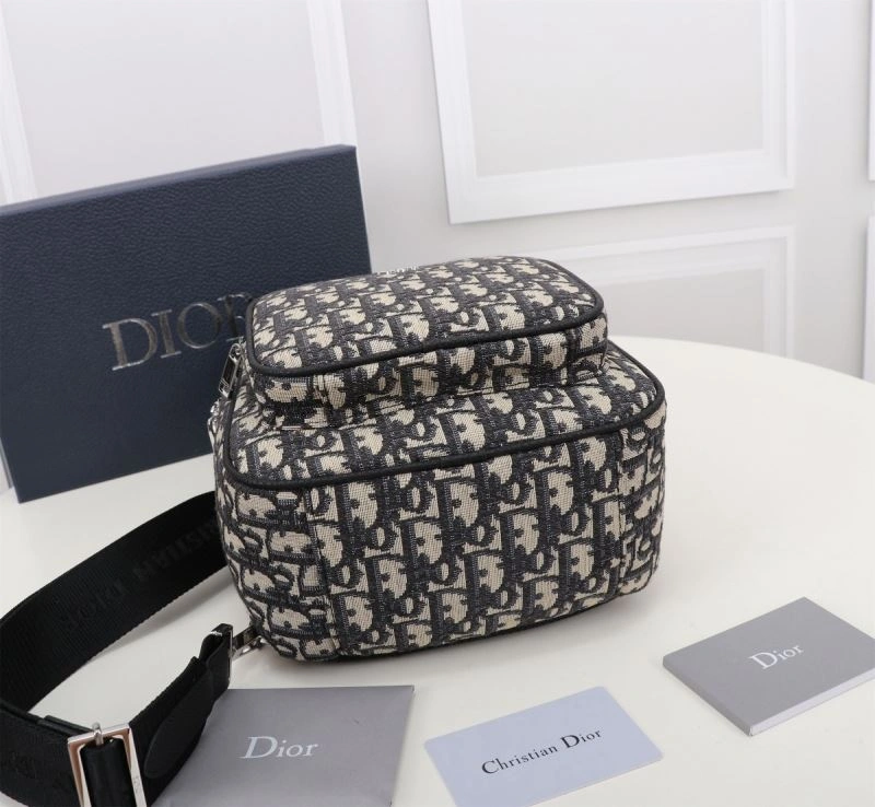 WaterResistant Christian Dior Waist Chest Packs 74238