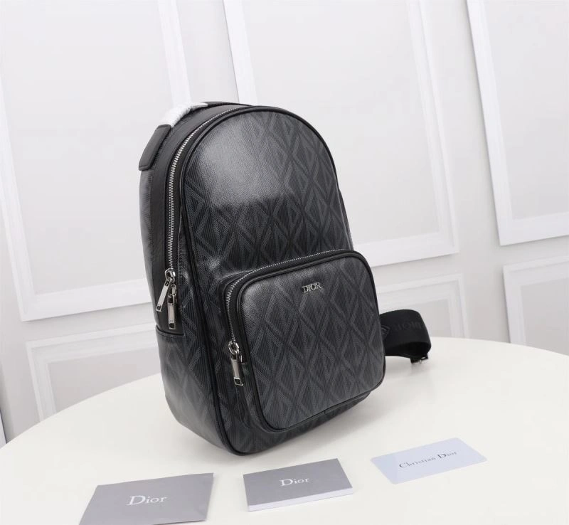 HighQuality Christian Dior Waist Chest Packs 74192