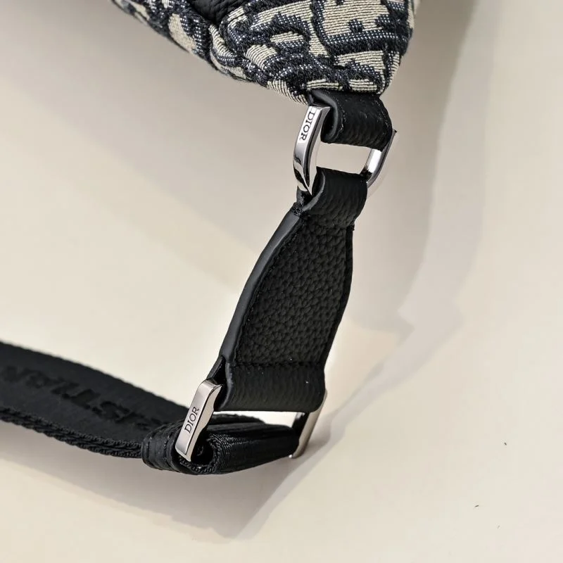 Unique Christian Dior Waist Chest Packs 46126