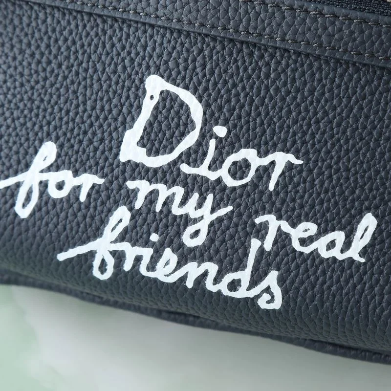 Resilient Christian Dior Waist Chest Packs 46123