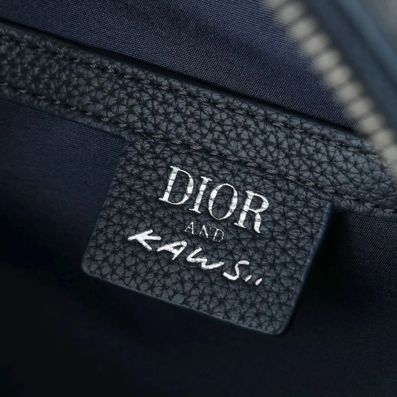 Resilient Christian Dior Waist Chest Packs 46123