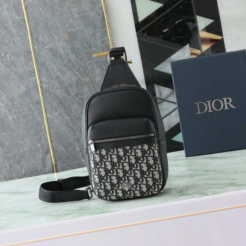 Resilient Christian Dior Waist Chest Packs 46148