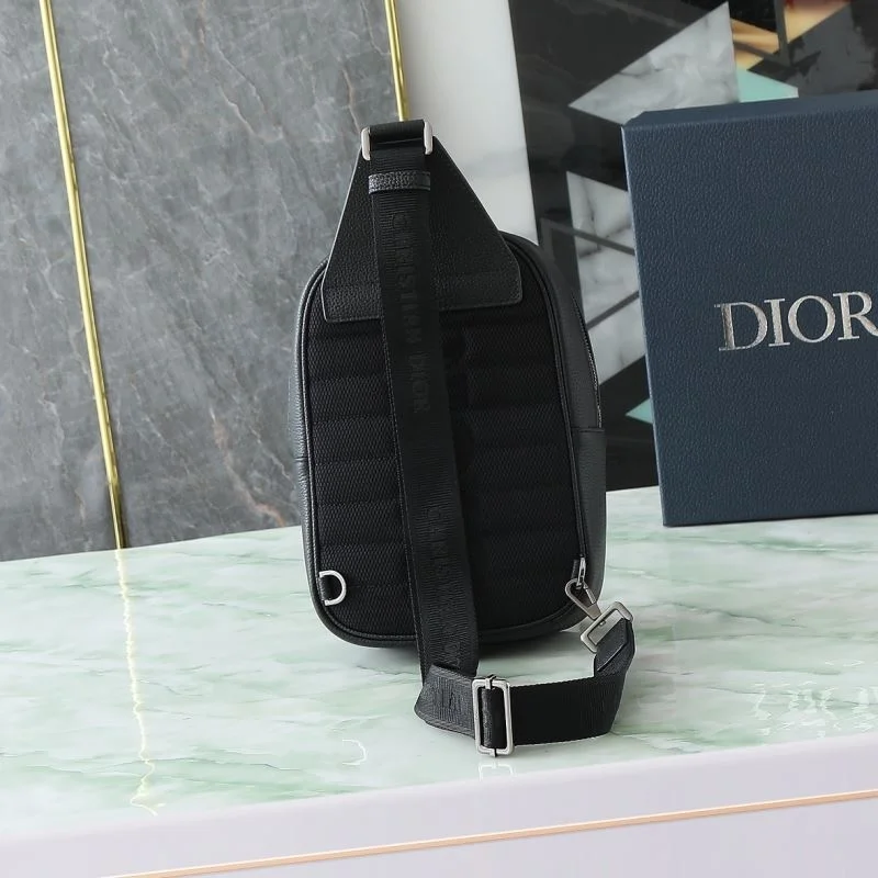 Resilient Christian Dior Waist Chest Packs 46148