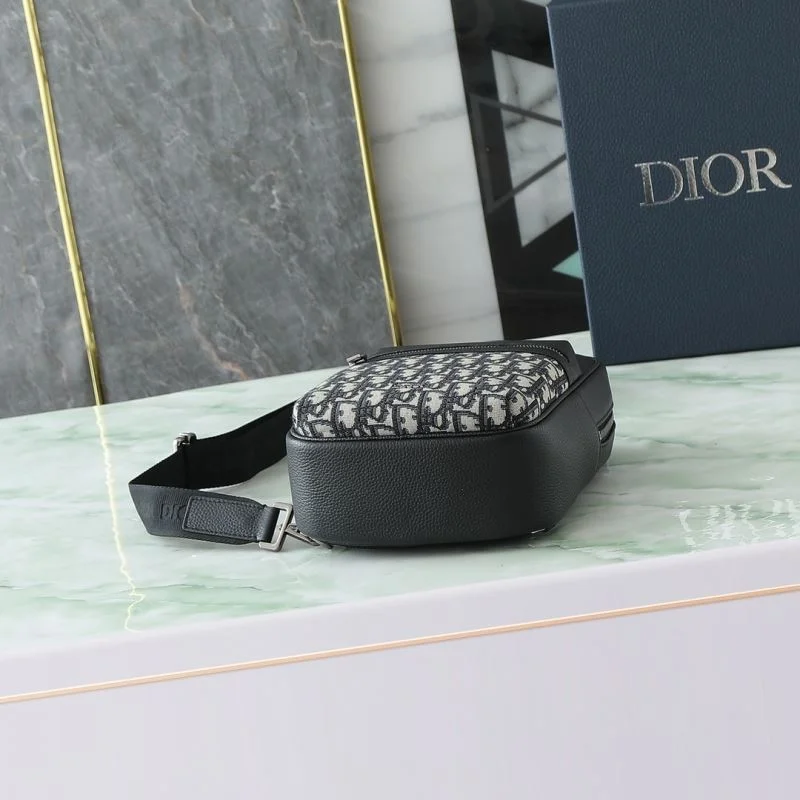 Resilient Christian Dior Waist Chest Packs 46148