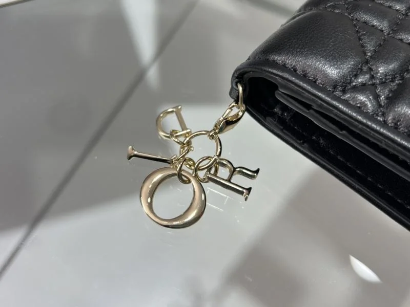 Christian Dior Wallet WaterResistant 37728