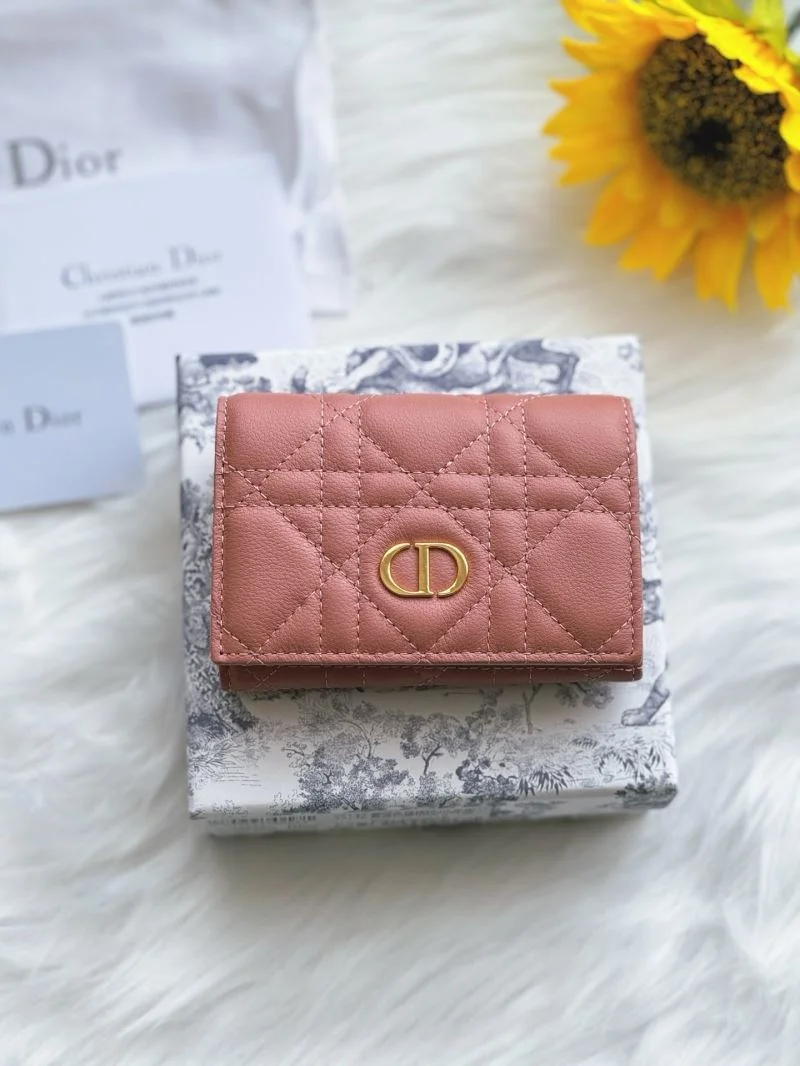 OdorResistant Christian Dior Wallets Purse 46674