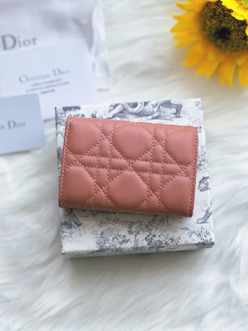 OdorResistant Christian Dior Wallets Purse 46674
